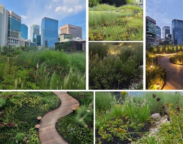 [타임워크명동 빌딩(옛 SK명동빌딩) 7층에 위치한 공유정원 `녹녹 타임워크명동`, 사진제공 : (주)앤로지즈]