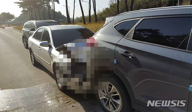 추돌사고. (사진=뉴시스DB)