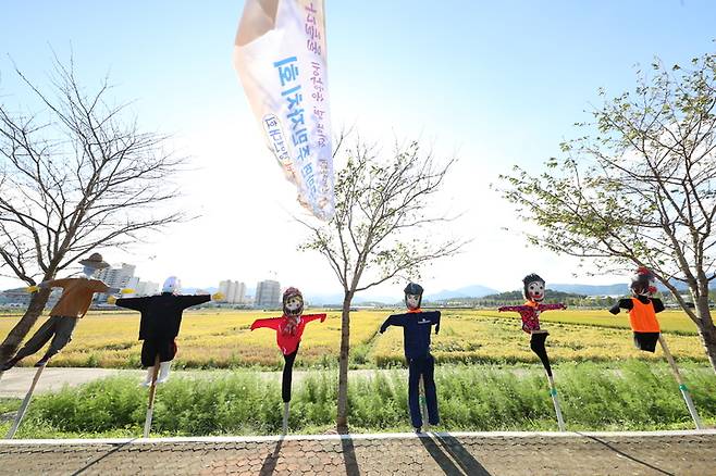 [고성(경남)=뉴시스] 신정철 기자= 경남 고성군은 오는 10월 1일부터 3일까지 3일 간 송학동고분군 및 고성읍 일원에서 ‘소가야 왕도 고성, 푸른꿈을 펼치다’라는 주제로 제44회 소가야문화제를 개최한다. 고성읍 일대에는 벌써부터  가을 감성 물씬 풍기는 허수아비가 축제분위기를 고조시키고 있다.(사진=고성군 제공).2021.09.28. photo@newsis.com *재판매 및 DB 금지