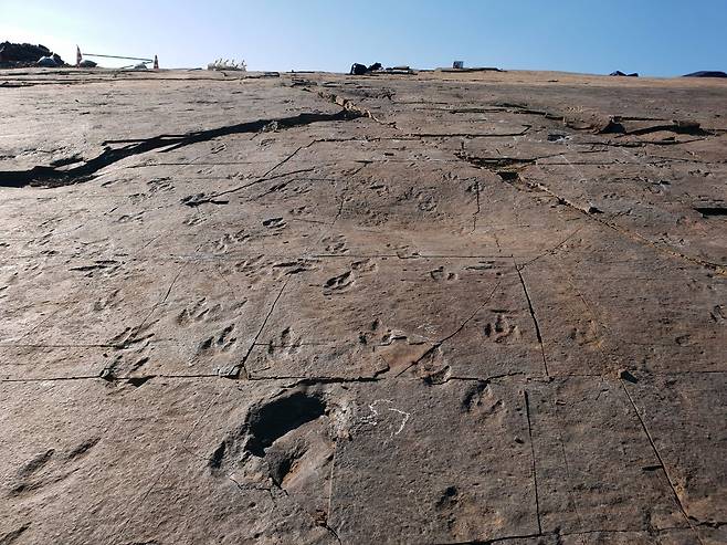 진주 정촌 백악기 공룡·익룡 발자국 화석 [연합뉴스 자료 사진. 재판매 및 DB 금지]