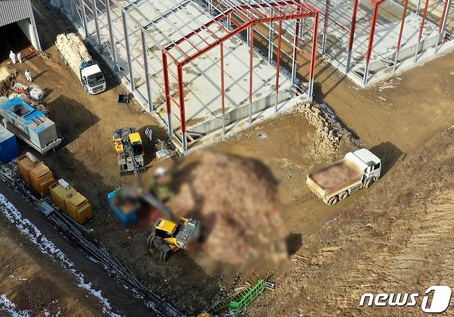 지난 1월 고병원성 조류인플루엔자(AI) 확진 판정을 받은 경기도 안성시 금광면의 한 양계농장에서 방역 관계자들이 살처분을 하고 있다. 2021.1.14/뉴스1 © News1 이재명 기자