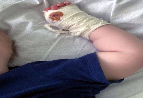 러시아 벨로고르스크의 한 사파리 동물원에서 14개월 된 아기가 호랑이에게 공격당해 다쳤다. (인스타그램 갈무리) © 뉴스1