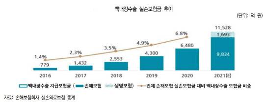 보험연구원 제공
