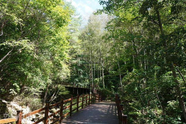 가령폭포 주변 탐방로는 찾는 사람이 많지 않지만 깔끔하게 정비돼 있다.
