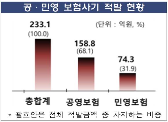공·민영 보험사기 적발 금액. [사진=금융감독원]