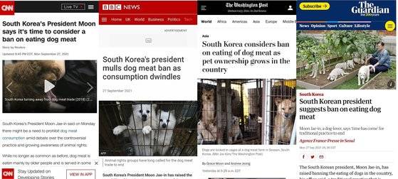 문재인 대통령의 '개 식용 금지' 발언을 주요 뉴스로 다룬 주요 외신으 보도. 홈페이지 캡처