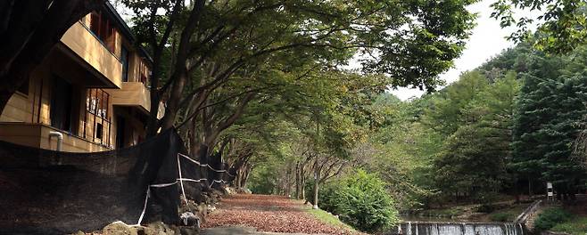 전북 완주군 고산면 고산자연휴양림 산책로.