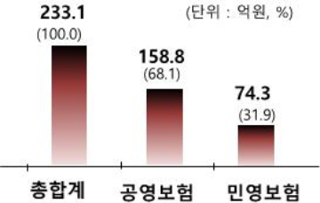 공·민영 보험사기 적발 현황 /자료=금융감독원