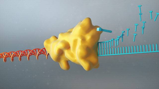 역전사 효소의 역할 CG.(자료=한국화학연구원)