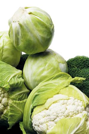 [사진=게티이미지뱅크]