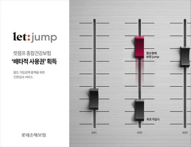 롯데손해보험이 손해보험협회로부터 배타적 사용권을 부여받았다고 30일 밝혔다. /롯데손해보험 제공