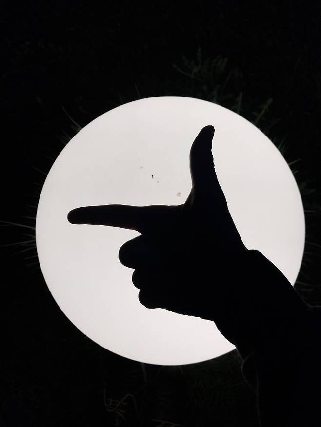 Jan Antonin Kolar / Unsplash