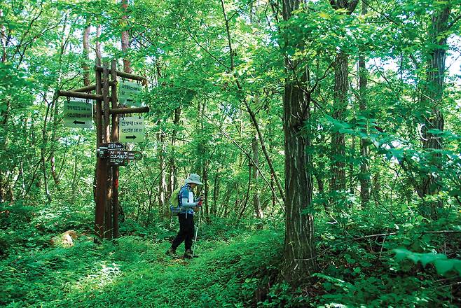 이정표가 적절하게 설치되어 있지만 숲이 깊어서 스마트폰  GPS 지도를 이용하는 것이 좋다.
