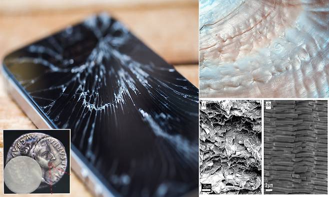 5배 더 강력…스마트폰 떨궈도 걱정 없는 유리 개발