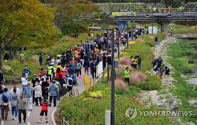 관광객으로 북적이는 장성 황룡강 노란꽃잔치(자료사진) [전남 장성군 제공. 재판매 및 DB 금지]