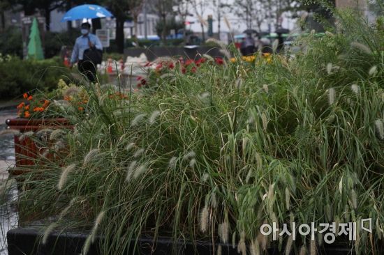 서울 청계광장에서 시민들이 우산을 쓰고 걸어가고 있다. /문호남 기자 munonam@