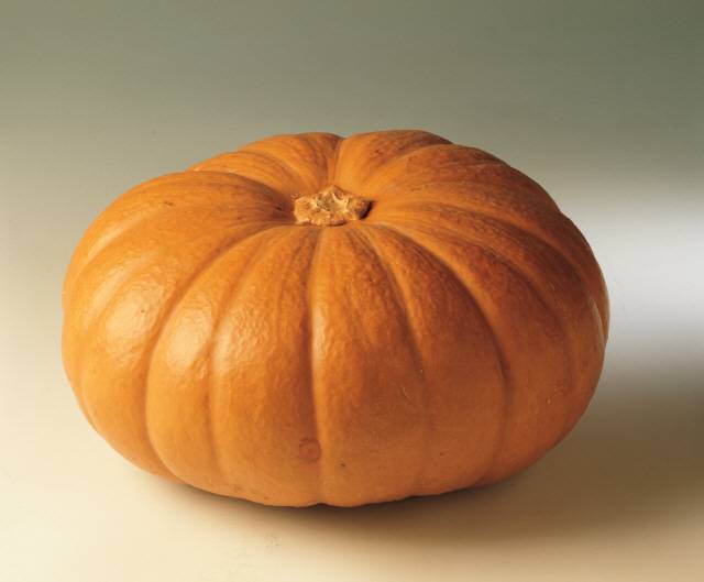 늙은 호박은 이뇨작용과 해독작용이 탁월해 부기 제거에 좋다./사진=클립아트코리아