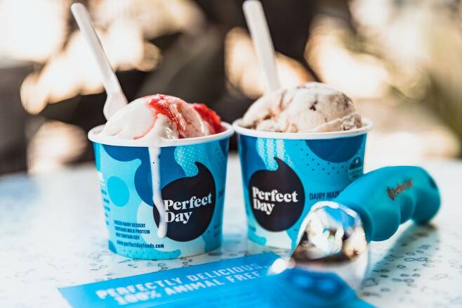 Perfect Day’s ice cream made of alternative protein (SK Inc.)