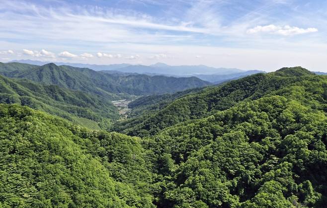 장수군 장안산