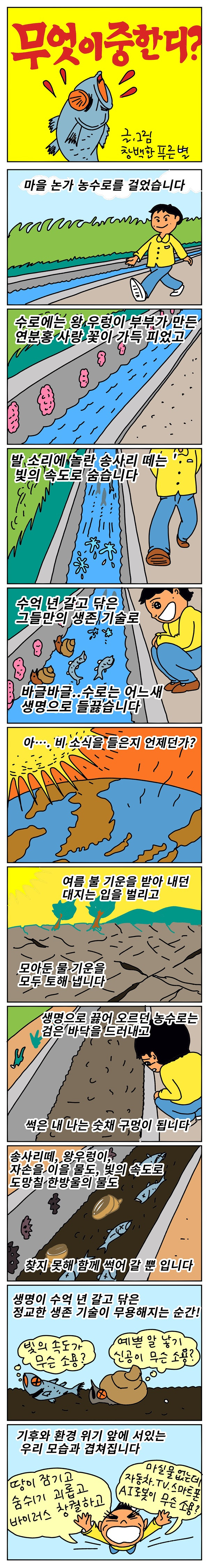 ⓒ 조영재