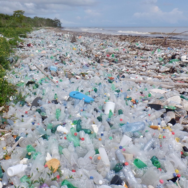 공익 목적으로 영리 활동을 하는 미국의 사회적경제기업 ‘포오션’(4ocean)은 30일 과테말라 해안을 덮친 ‘플라스틱 쓰나미’를 공개했다.