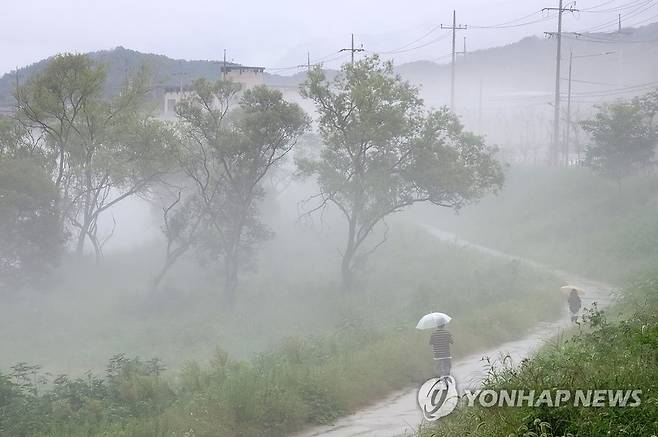 안개 [연합뉴스 자료 사진]