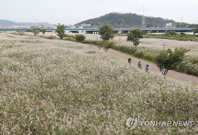 가을 속으로 [연합뉴스 자료사진]