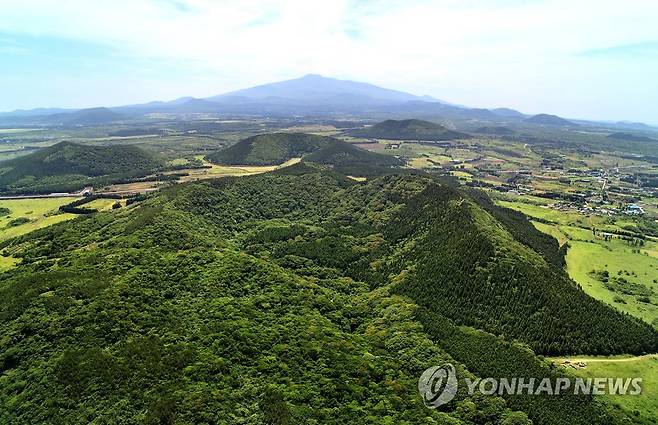 세계자연유산 거문오름 (제주=연합뉴스) 세계자연유산인 '제주 화산섬과 용암동굴' 중 거문오름 용암동굴계의 핵심인 거문오름 전경. 뒤로 한라산이 보인다. 2016.5.12 [세계유산한라산연구원 제공] khc@yna.co.kr