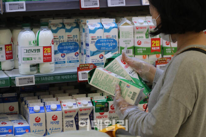 [이데일리 노진환 기자] 서울우유가 1일 우유 제품의 평균 가격을 평균 5.4% 인상했다. 이에 따라 편의점 기준 흰 우유 1리터의 가격은 2,700원에서 2,850원으로 인상되고 200ml의 제품은 950원에서 1,000원으로 인상됐다. 1일 서울 용산구의 한 대형마트에서 고객이 우유 제품을 고르고 있다.