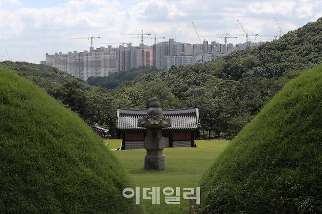 경기도 김포시 풍무동 장릉(사적 제202호)에서 인근에서 지어지고 있는 인천 검단 신도시 내 아파트 단지 모습 (사진=뉴스1)