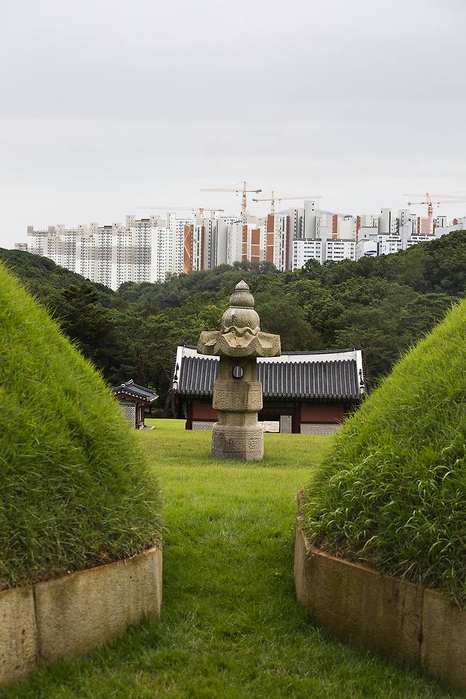 '김포 장릉' 능침 구역의 두 봉분 사이에서 바라본 전경. 탁 트여야 할 전망 대신 공사 중인 고층 아파트 단지가 삐죽 솟아 있다. 계양산은 완전히 가려 보이지 않는다. /이경호 영상미디어 기자