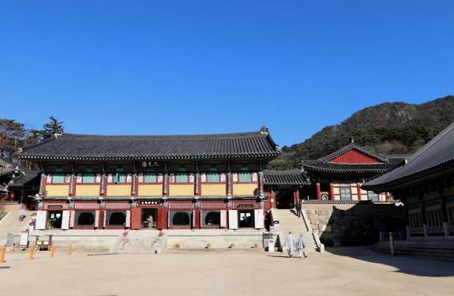 합천군 블로그