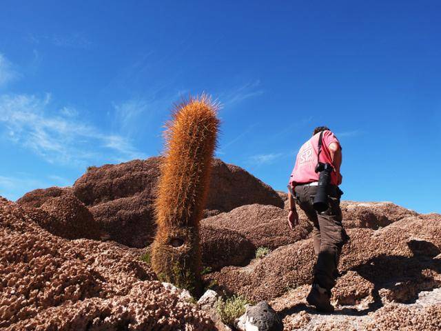 때론 목덜미가 뻣뻣해질 정도로 올려다보고, 때론 내려다본다. 산호 화석의 흔적을 종종 발견한다. @강미승