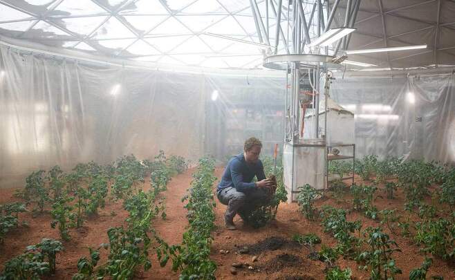 화성에서 감자 뿐만 아니라 식물 키우기 위해 반드시 필요한 것은? - SF영화 ‘마션’에서는 화성에 홀로 남은 주인공이 식물학자라는 전공을 살려 감자를 재배하는데 성공하는 모습이 나온다. 미국 과학자들이 화성에서 지구처럼 식물을 재배하기 위해서는 반드시 필요한 ‘이것’이 있어야 한다는 연구결과를 내놨다.IMdB 제공
