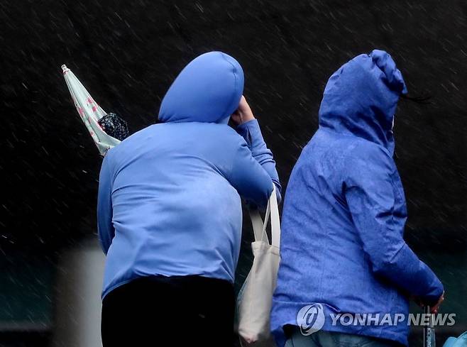 '바람 한번 세차네' [연합뉴스 자료 사진]