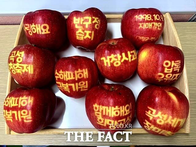 지난해 수해 당시 경남 거창군이 전남 곡성군의 아픔을 달래기 위해 보낸 '사과 박스' / 곡성군 제공
