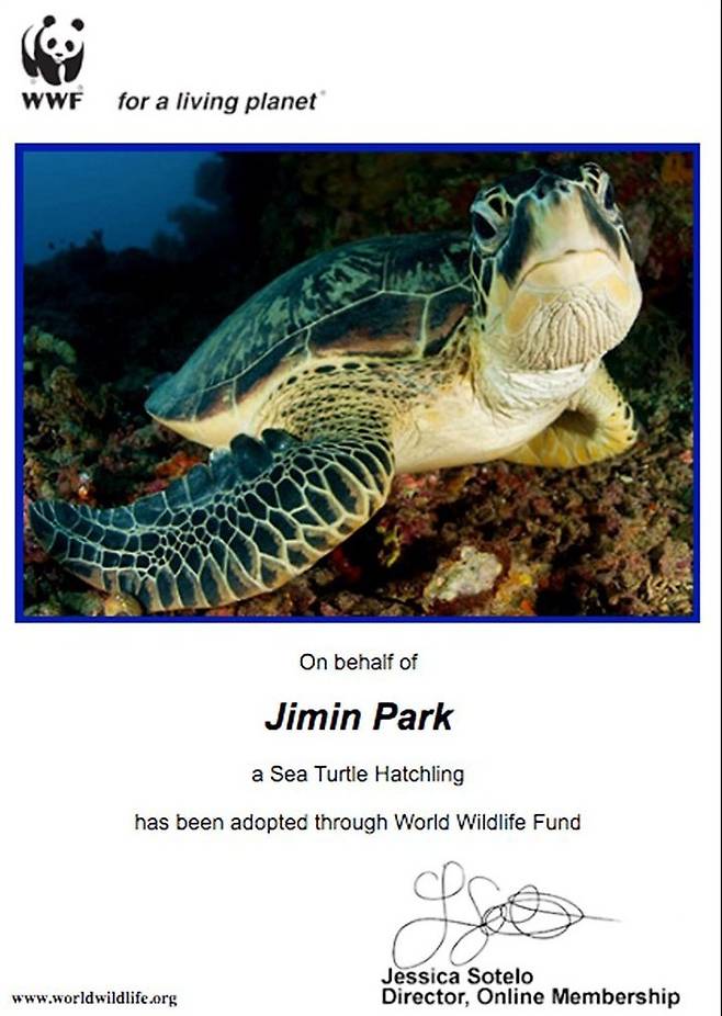 '강양이' 방탄소년단 지민 닮은 아름다운 팬들..생일기념 바다거북·코뿔소 27마리 동시 입양 '멸종위기 동물보호 앞장'