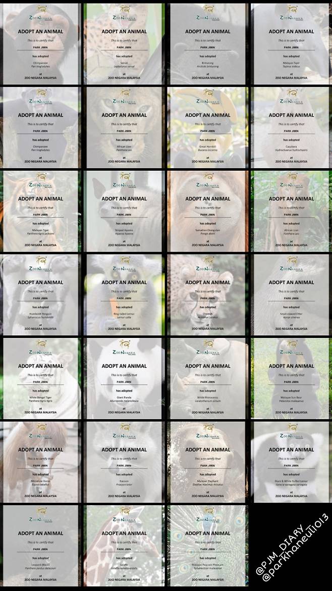 '강양이' 방탄소년단 지민 닮은 아름다운 팬들..생일기념 바다거북·코뿔소 27마리 동시 입양 '멸종위기 동물보호 앞장'