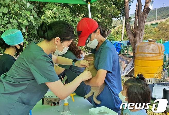 수의사가 3일 인천 중구 영종역 부근에서 개들에게 예방접종을 하고 있다. 봉사자 중에는 어린 아이들을 데리고 와 동물 사랑을 가르친 부모도 있었다. © 뉴스1 최서윤 기자
