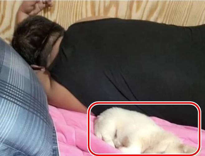 사진=온라인커뮤니티