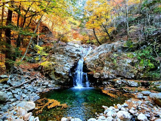 지리산 칠선계곡은 국립공원 탐방로 예약제 구간 중 유일하게 가이드가 동행한다. 사회적 거리두기 3단계가 적용 중인 현재는 하루 10명만 예약할 수 있다. 사진 국립공원공단