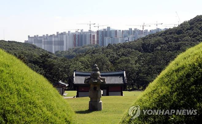 김포 장릉 사이로 보이는 신축 아파트 단지 [연합뉴스 자료사진. 재판매 및 DB 금지]