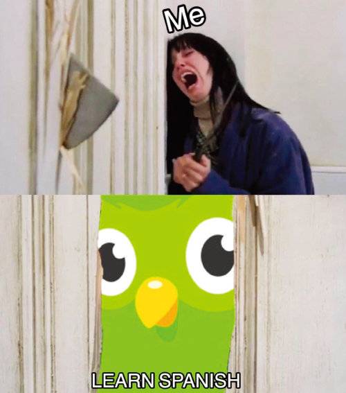 학습자들이 만든 듀오링고 밈 중 하나.