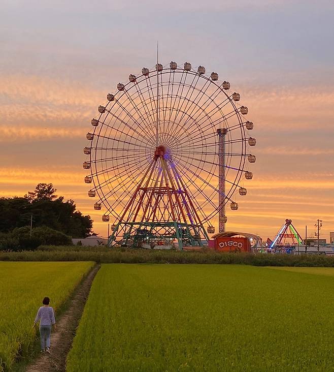 삽교호놀이동산 뒤편이 최근 SNS 인증샷 명소로 떠오르고 있다© 뉴스1 윤슬빈 기자