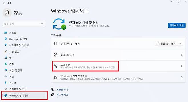 ‘Windows 업데이트’ 메뉴에서 ‘고급 옵션’ 기능을 선택