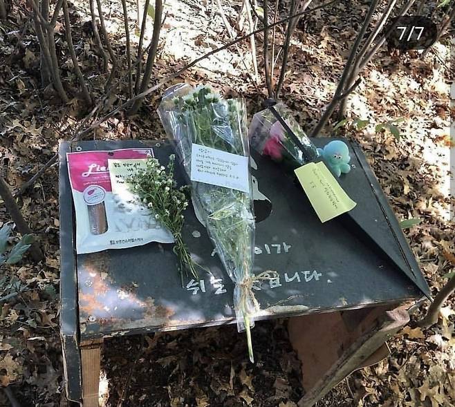 상암이가 숨진 뒤 추모하는 이들이 남긴 꽃다발./사진=SNS 캡쳐