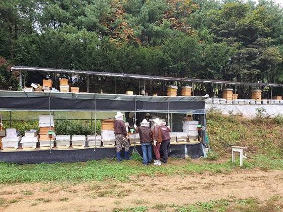 정신장애를 가진 양봉 훈련생들이 경기도 화성에 있는 자연과함께하는농장에서 임준하 상임이사의 지도를 받으며 꿀벌의 겨울나기를 준비하고 있다. 경기 화성=강주안 기자