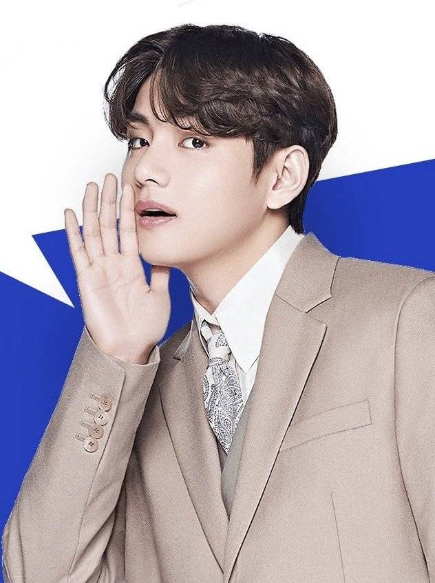 방탄소년단 뷔(BTS V)