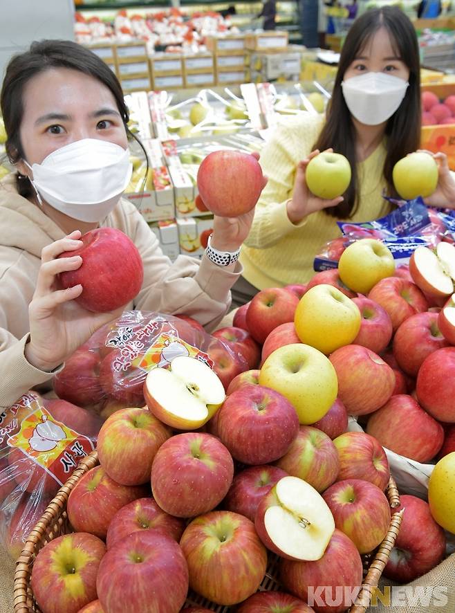3일 농협 하나로마트 양재점에서 모델들이 다양한 ‘사과’를 선보이고 있다.