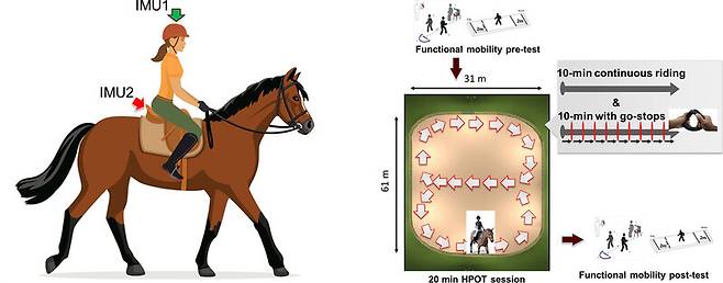 뇌성마비 환자와 승마재활 치료를 광주과학기술원이 진행한 연구 방식 그림.광주과학기술원 제공